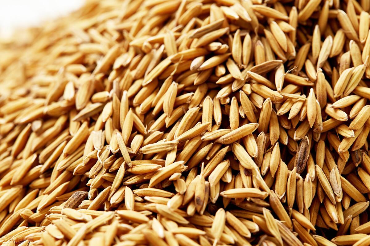 富硒水果小苗(富硒水果种植技术)-硒宝网