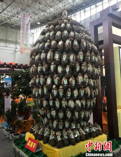 桂林富硒水果（桂林水含硒吗）-硒宝网