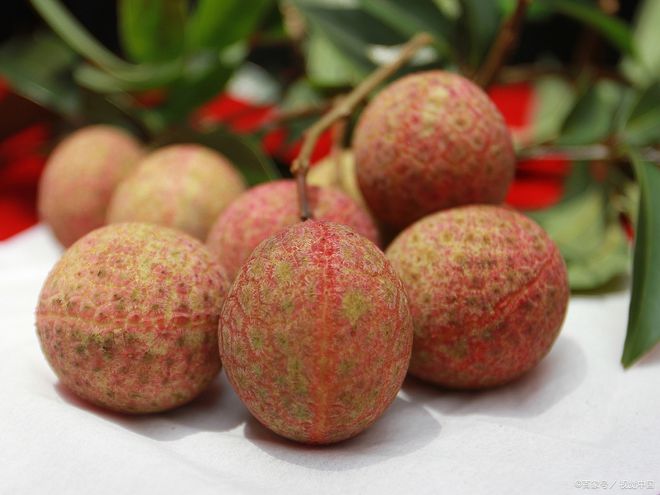 富硒最贵水果(富硒水果是什么意思)-硒宝网