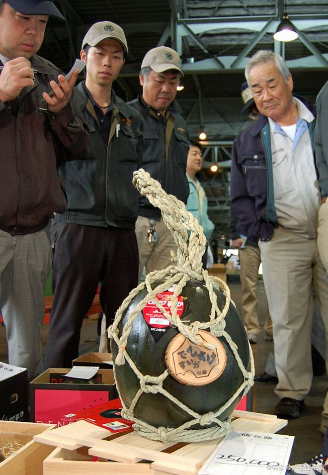 富硒最贵水果(富硒水果是什么意思)-硒宝网