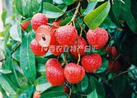 梧州富硒水果（广西富硒）-硒宝网