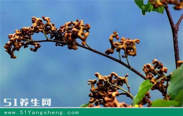 富硒天然水果(富硒水果的好处)-硒宝网