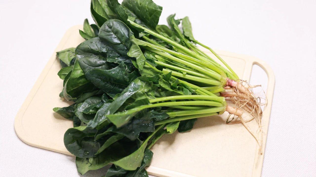 能补钙的食物有哪些(食物补钙有哪些食物)-硒宝网