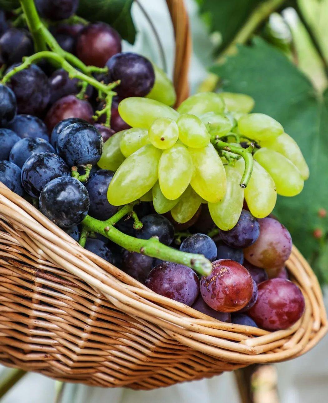 菏泽富硒水果（山东富硒带）-硒宝网