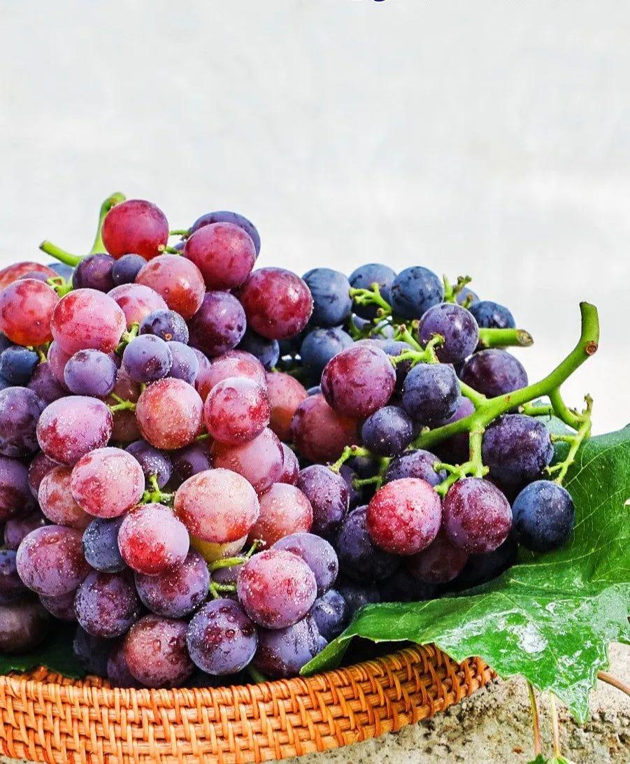 菏泽富硒水果（山东富硒带）-硒宝网