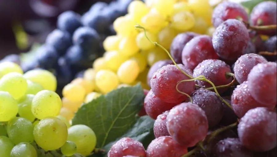 菏泽富硒水果（山东富硒带）-硒宝网