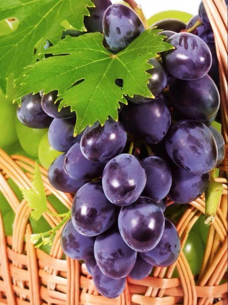 菏泽富硒水果（山东富硒带）-硒宝网