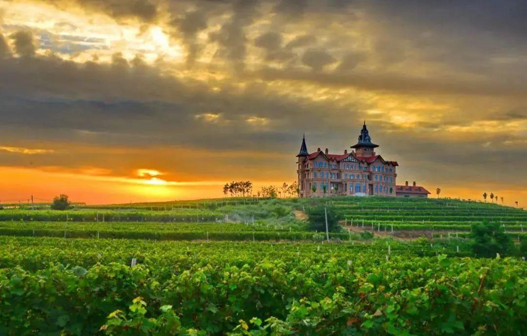 菏泽富硒水果（山东富硒带）-硒宝网