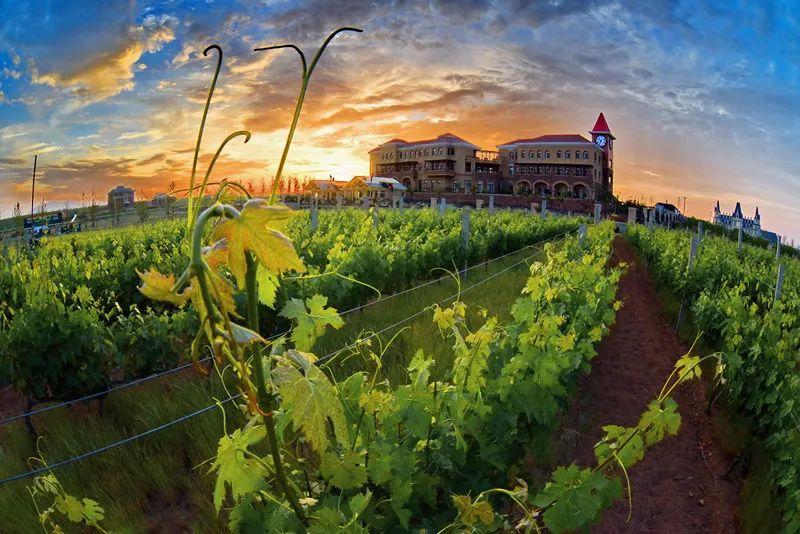 菏泽富硒水果（山东富硒带）-硒宝网