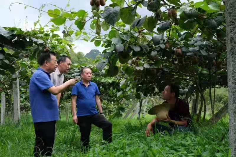 安康富硒水果（安康富硒水生产厂家）-硒宝网