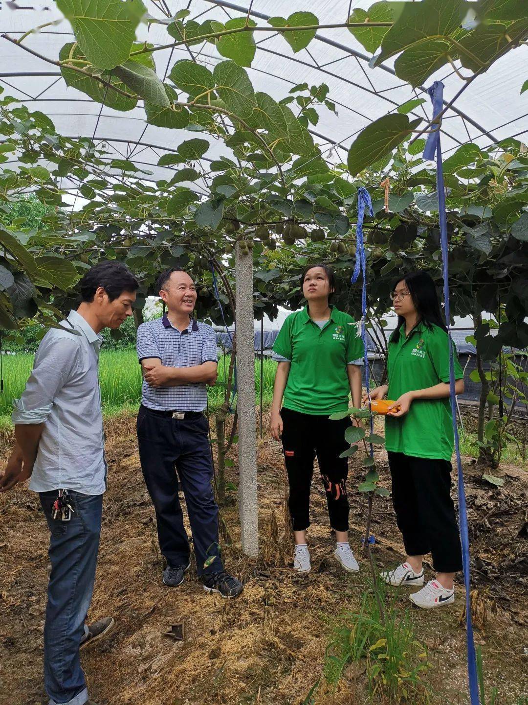 安康富硒水果（安康富硒水生产厂家）-硒宝网