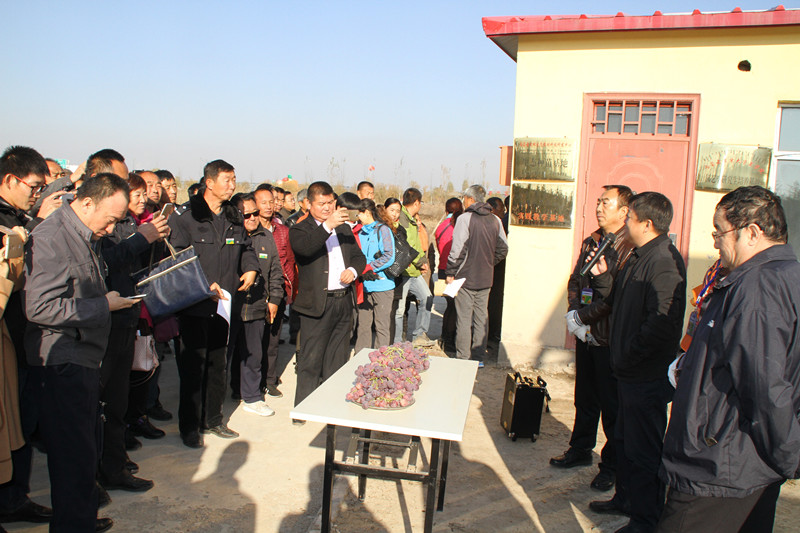 珲春富硒水果(珲春富硒大米假的吧)-硒宝网