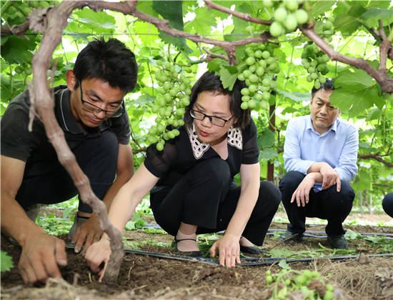 珲春富硒水果(珲春富硒大米假的吧)-硒宝网