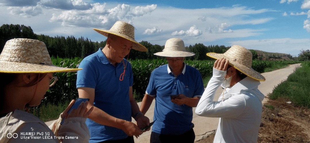 珲春富硒水果(珲春富硒大米假的吧)-硒宝网