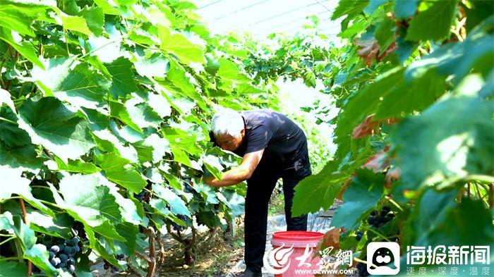 潍坊富硒水果(潍坊富硒粮仓)-硒宝网