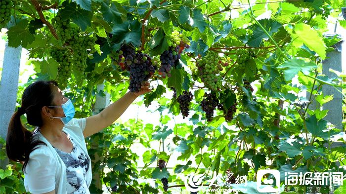 潍坊富硒水果(潍坊富硒粮仓)-硒宝网