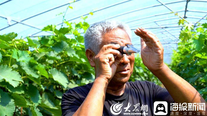 潍坊富硒水果(潍坊富硒粮仓)-硒宝网