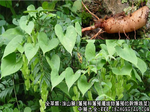 富硒水果鲜米（鲜明富硒大米）-硒宝网