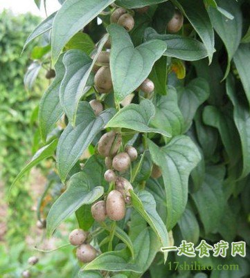 富硒水果鲜米（鲜明富硒大米）-硒宝网