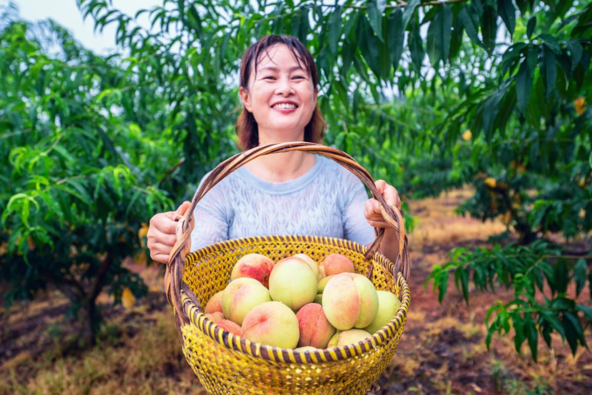 富硒水果组图(富硒蔬菜水果)-硒宝网