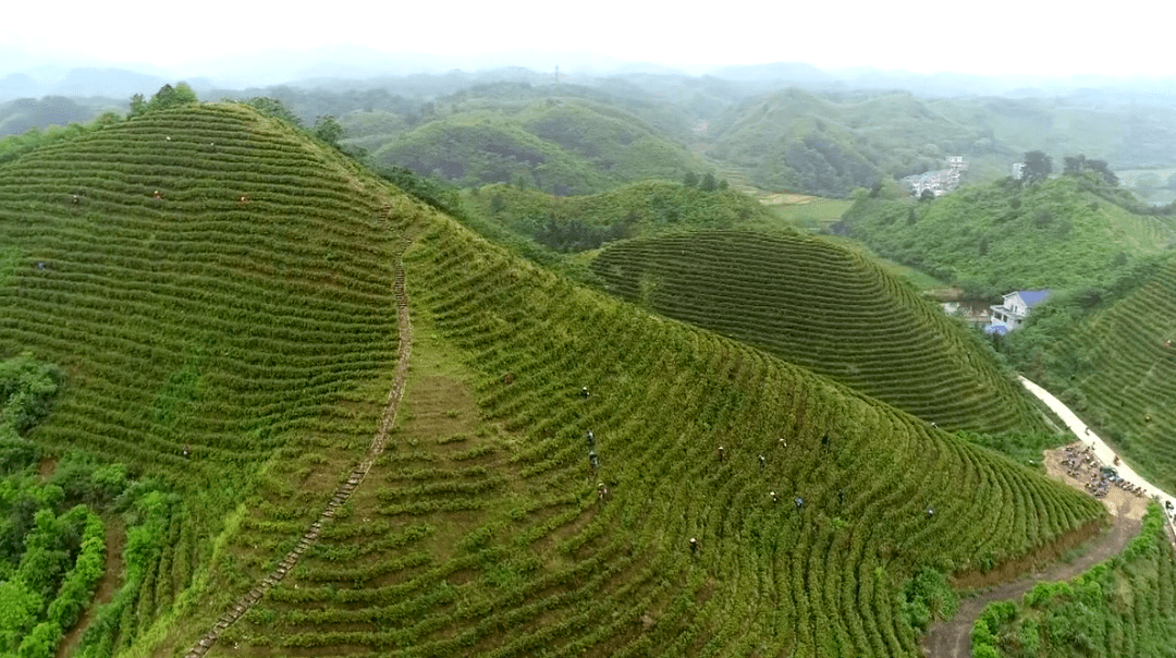 富硒水果店铺(水果富硒标准)-硒宝网
