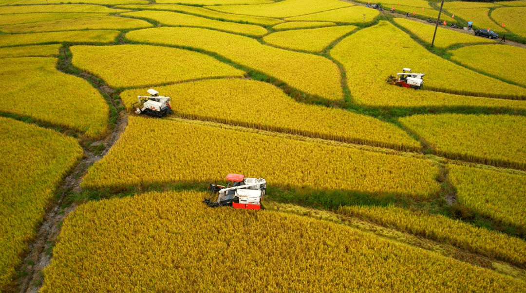 富硒水果店铺(水果富硒标准)-硒宝网