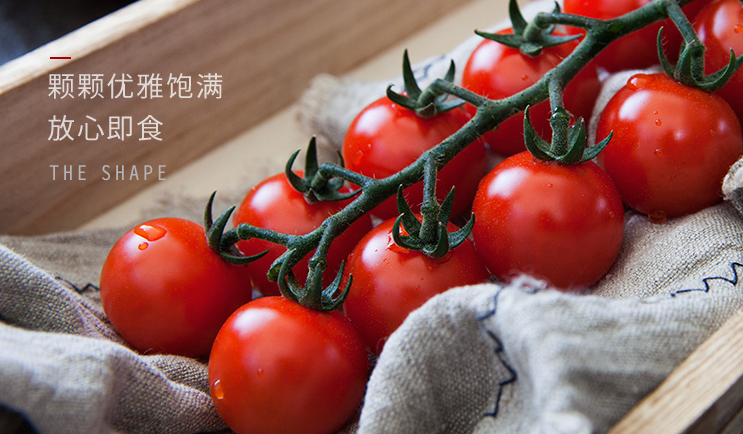 富硒水果西芹(富硒水果的好处)-硒宝网