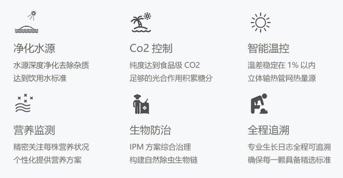 富硒水果西芹(富硒水果的好处)-硒宝网