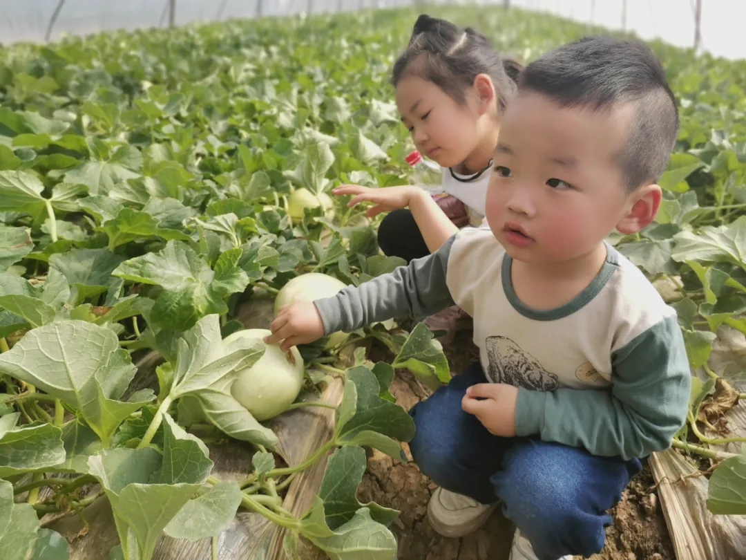 富硒水果名字(水果名字富硒有哪些)-硒宝网