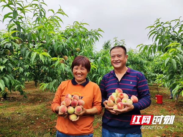 富硒水果组图(富硒水果的好处)-硒宝网