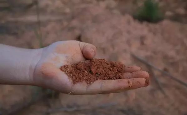 池州 硒产品(池州含硒的地方是哪里)-硒宝网