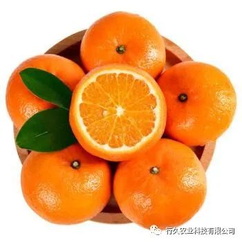 百色富硒水果(富硒水果硒含量标准)-硒宝网