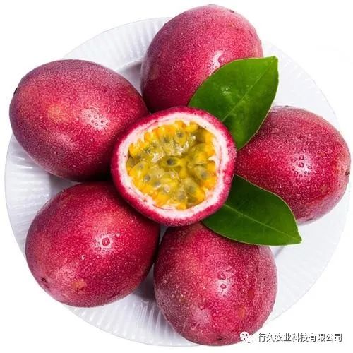 百色富硒水果(富硒水果硒含量标准)-硒宝网