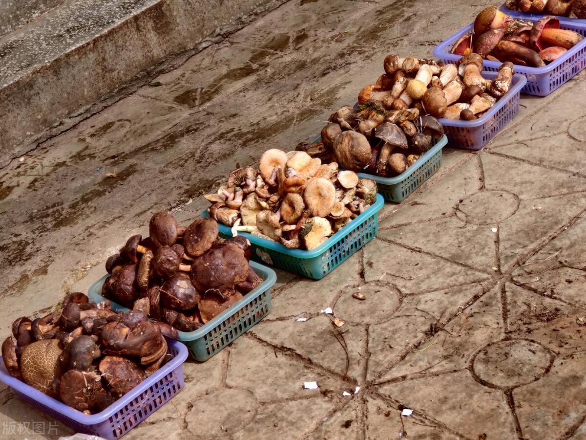 云南产品 硒（云南缺硒地区）-硒宝网