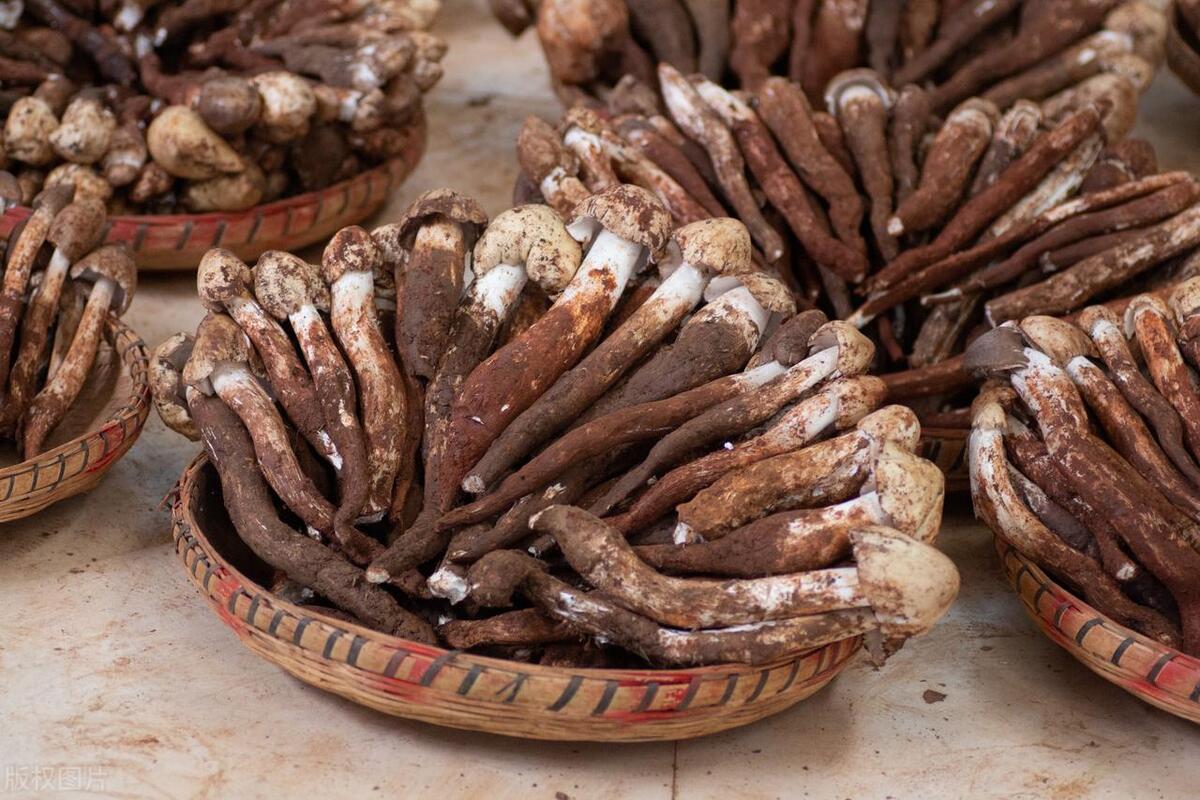 云南产品 硒（云南缺硒地区）-硒宝网