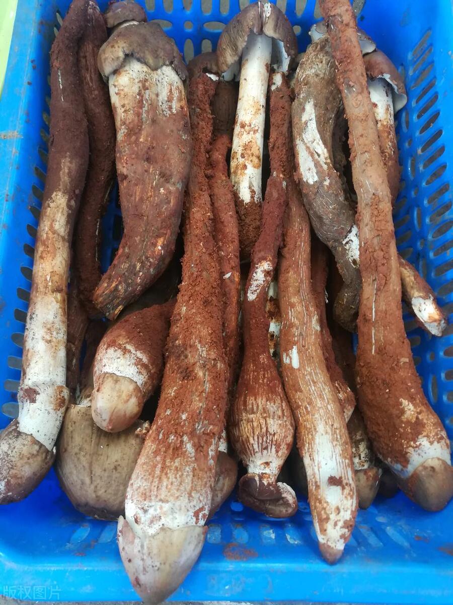 云南产品 硒（云南缺硒地区）-硒宝网