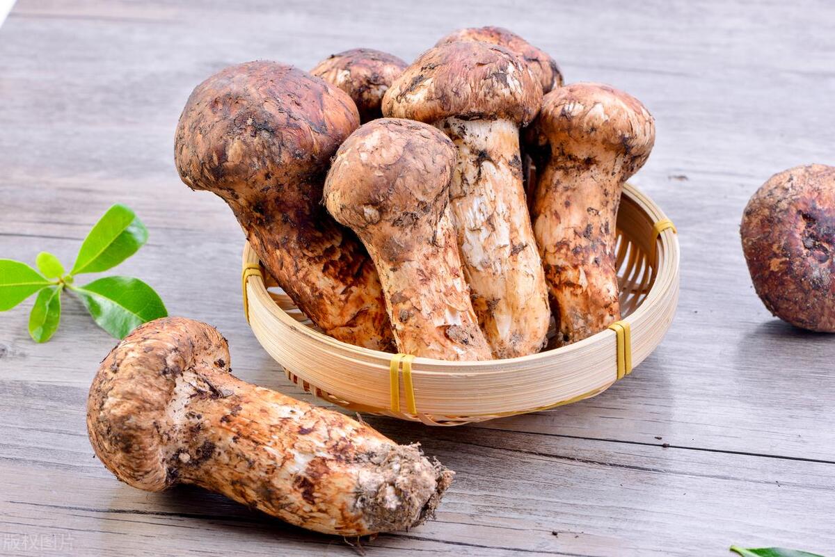 云南产品 硒（云南缺硒地区）-硒宝网