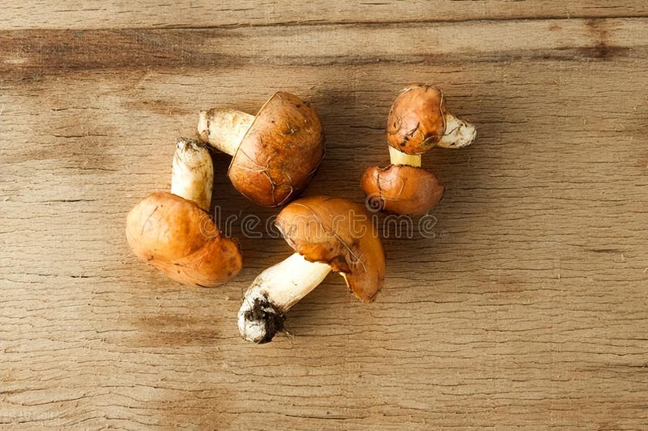 云南产品 硒（云南缺硒地区）-硒宝网