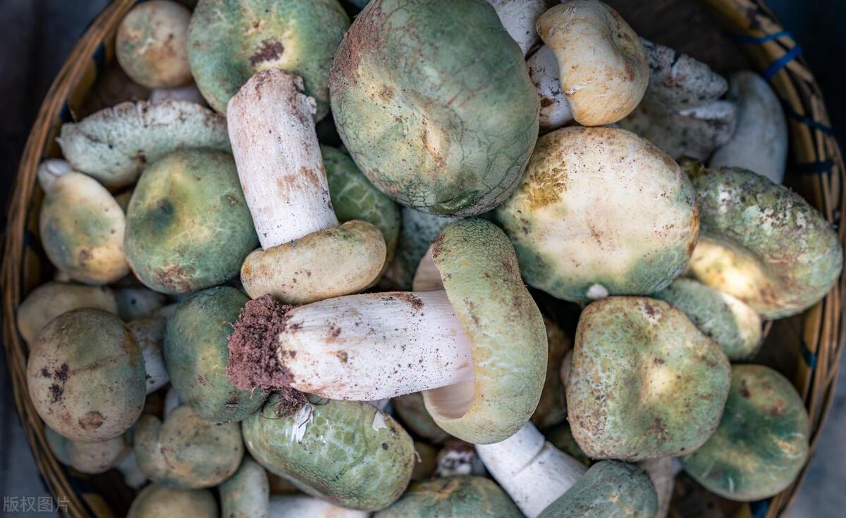 云南产品 硒（云南缺硒地区）-硒宝网