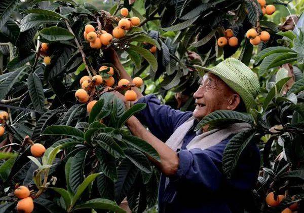 开阳 硒产品（开阳的富硒产品）-硒宝网