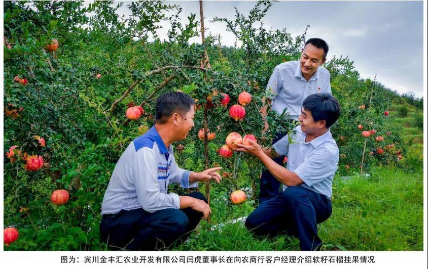 云南产品 硒(云南硒照农业科技有限公司)-硒宝网