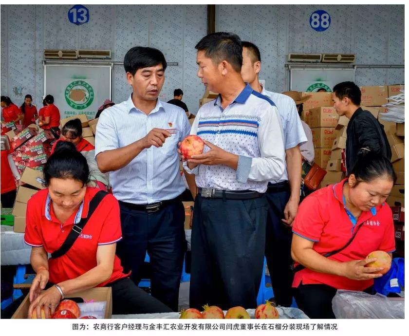 云南产品 硒(云南硒照农业科技有限公司)-硒宝网