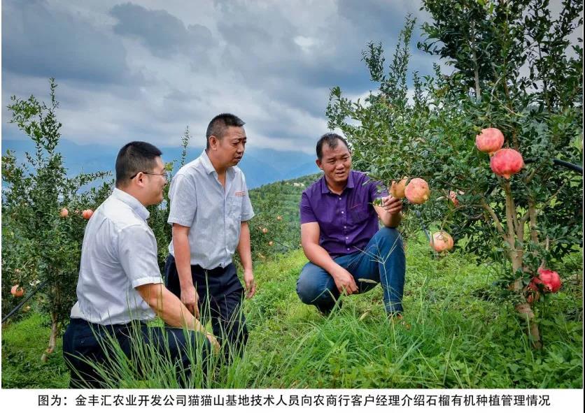 云南产品 硒(云南硒照农业科技有限公司)-硒宝网