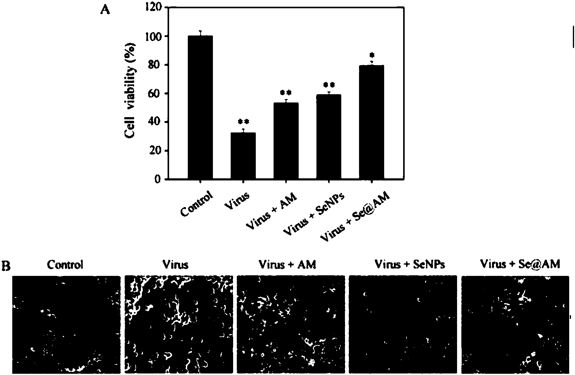纳米硒的产品（纳米硒材料）-硒宝网