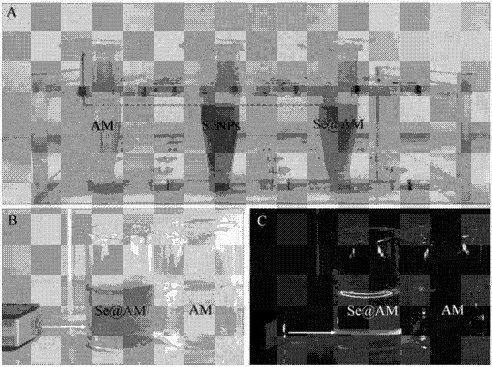 纳米硒的产品（纳米硒材料）-硒宝网