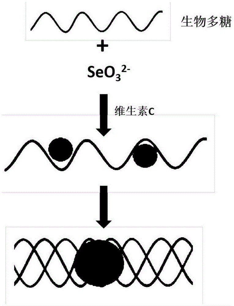纳米硒的产品（纳米硒材料）-硒宝网