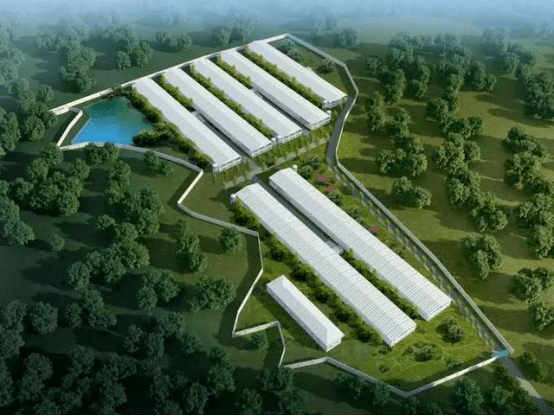 硒谷农业产品(农业谷产品硒元素含量)-硒宝网