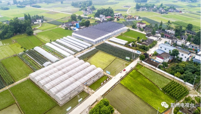 硒谷农业产品(农业谷产品硒元素含量)-硒宝网