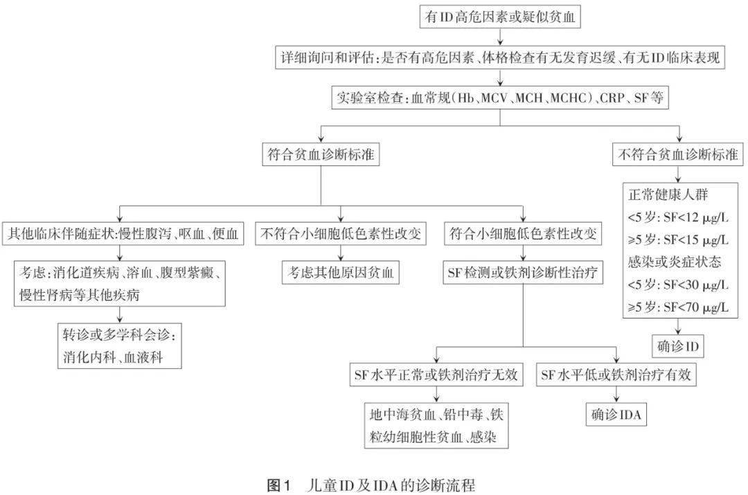 儿童补铁食谱(孩子补铁食谱)-硒宝网