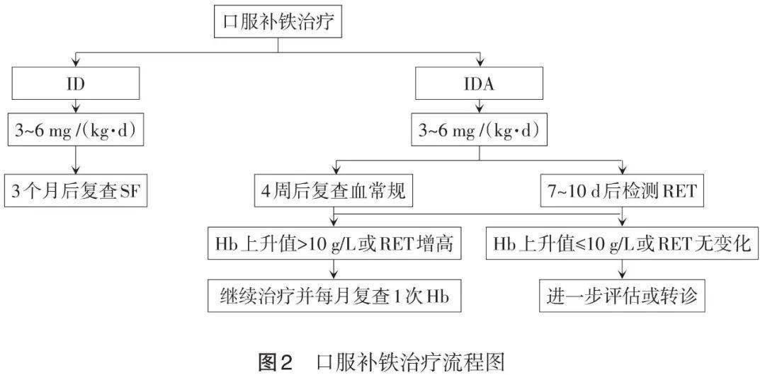 儿童补铁食谱(孩子补铁食谱)-硒宝网